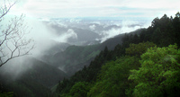 20090508.jpg